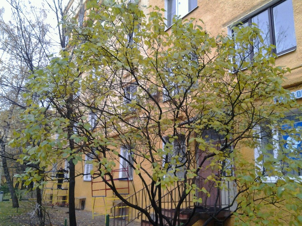 Клиника Профи