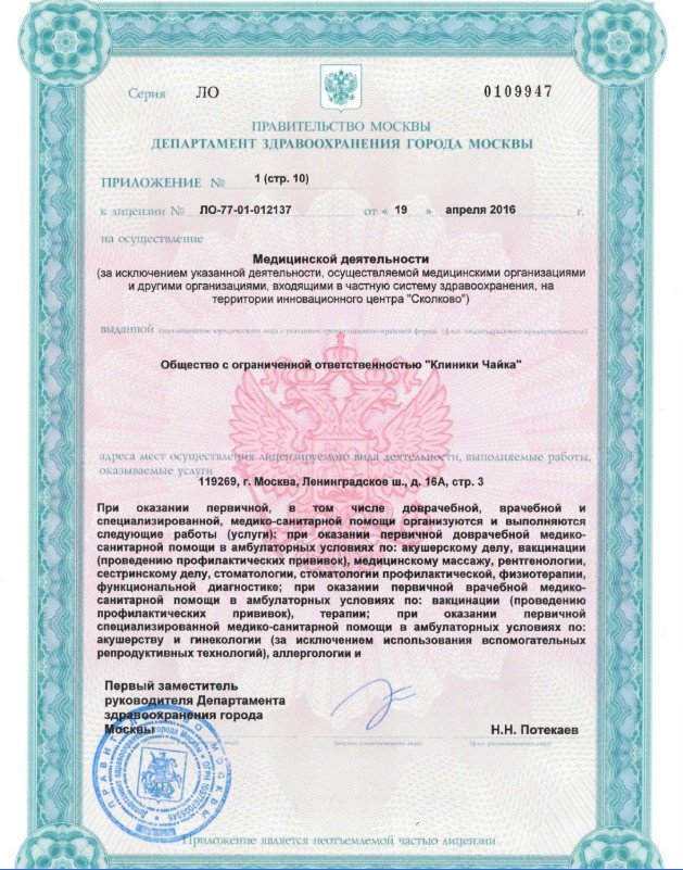 Чайка