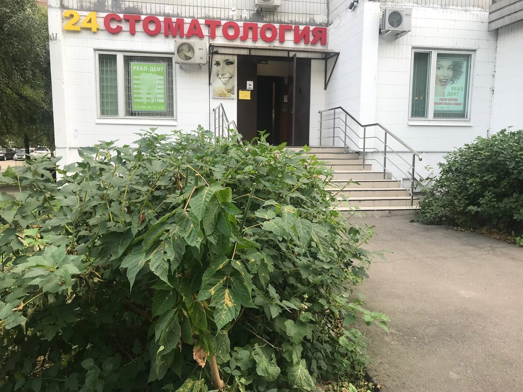 Реал-Дент