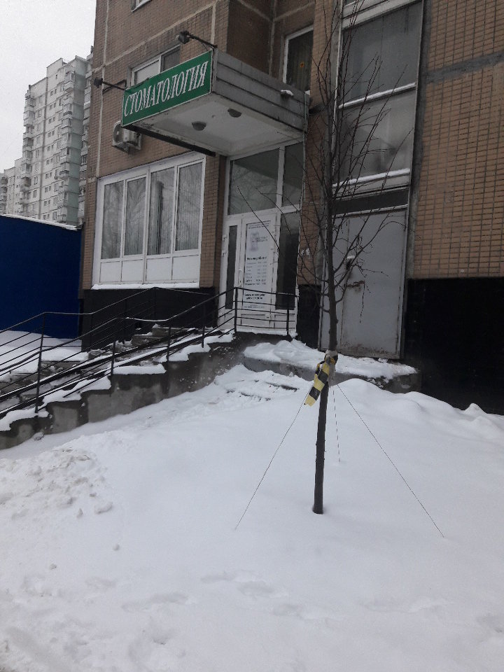 Стоматология