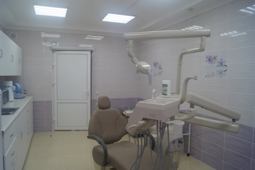 Artemida Dental Clinic улица Александры Монаховой, 97