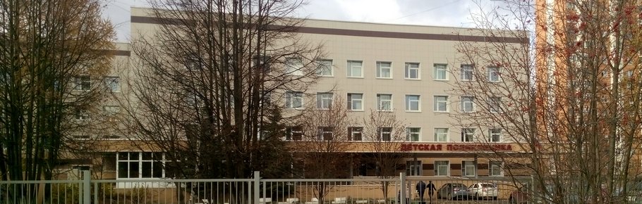 ГБУЗ Троицкая городская больница