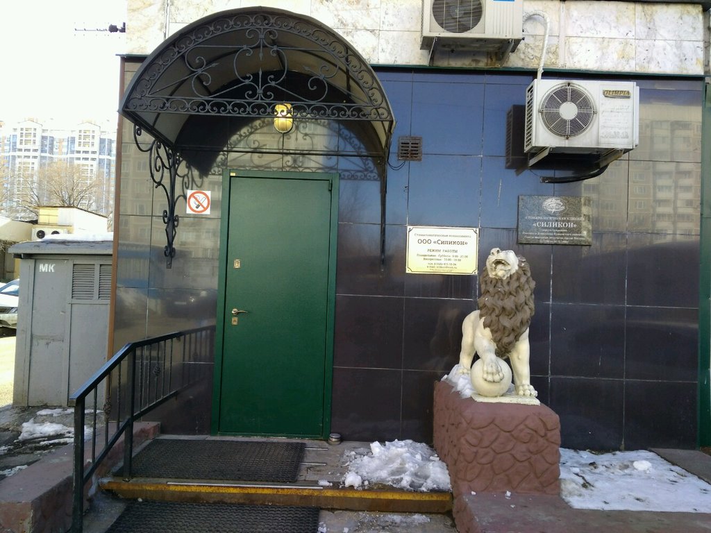Силикон