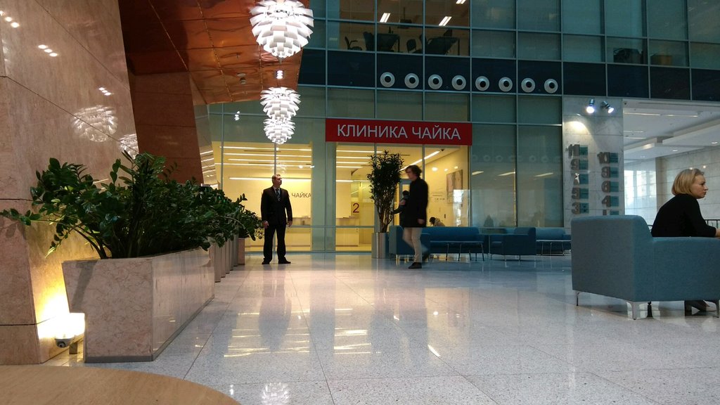 Чайка
