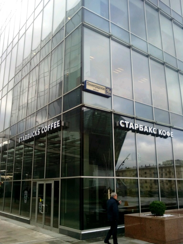 Чайка