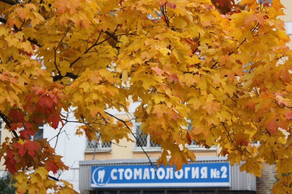 Стоматология № 2