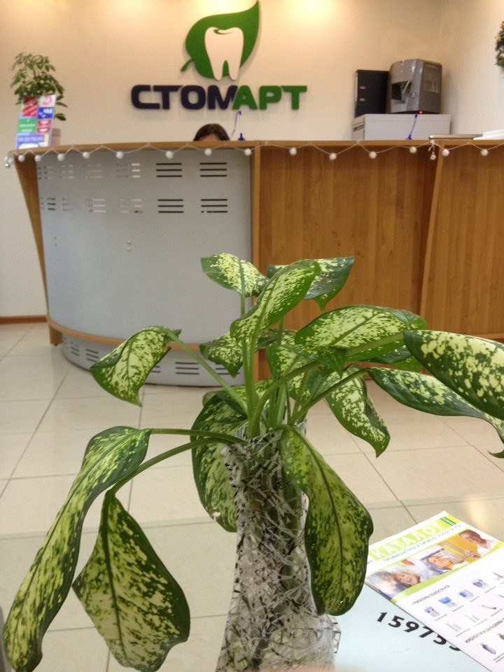 Стоматологическая клиника СтомАрт