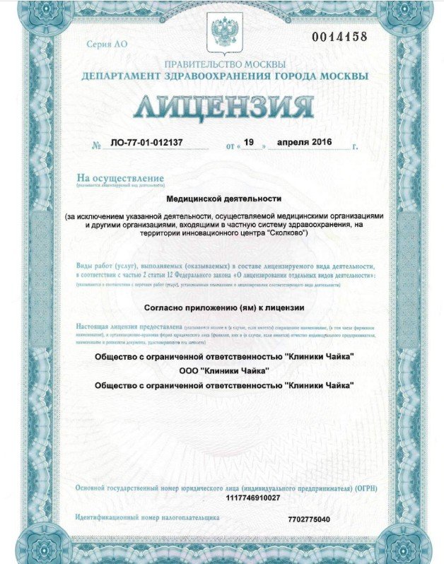Чайка