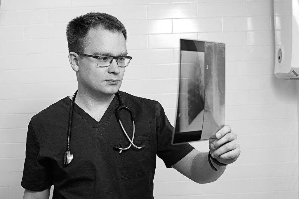 Чайка