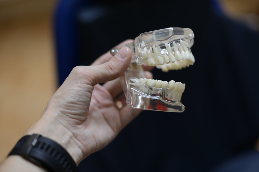 OrganicDent