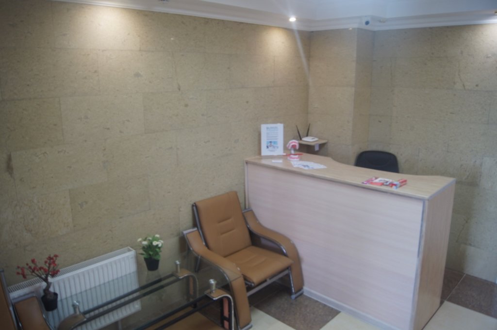 Artemida Dental Clinic улица Александры Монаховой, 97