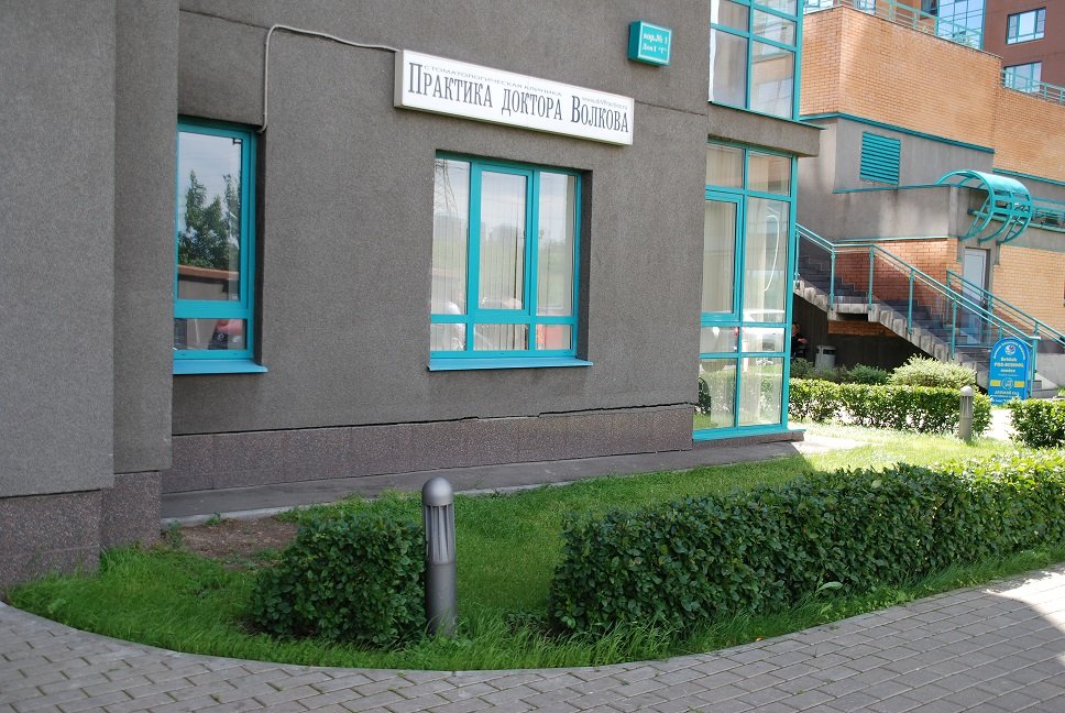 Практика доктора Волкова