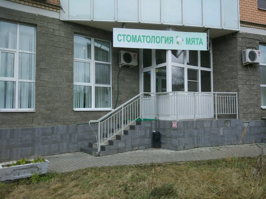 Мята