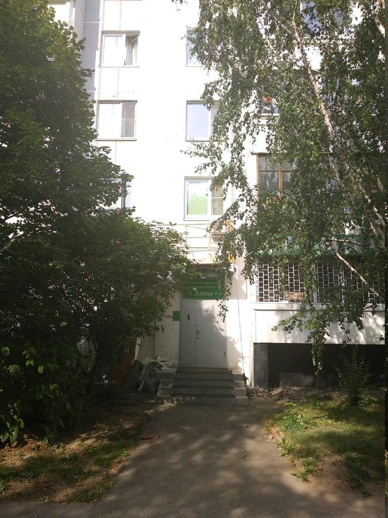 Элита