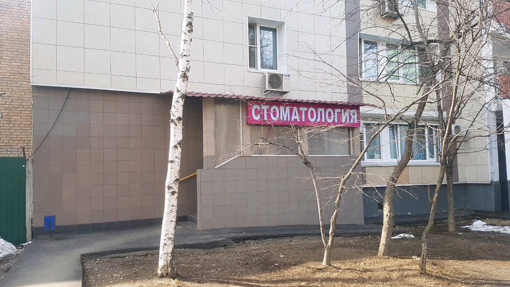 Венивита